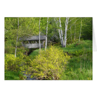 最も素晴らしいカシ