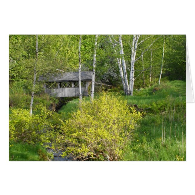 最も素晴らしいカシ (正面横)