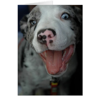 最も素晴らしい喜び