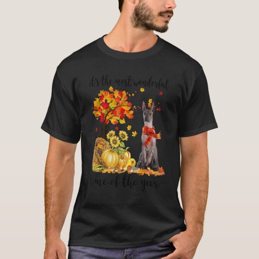 最も素晴らしい秋の時間Xoloitzcuintli Tシャツ (正面)