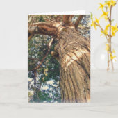 最も美しい木 カード (黄色い花)