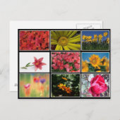 最も美しい花のコラージュはがき ポストカード (正面/裏面)