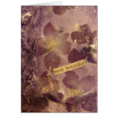 最も美しい花 (正面)