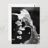 「最も美しモダンい美術写真アニシア」 ポストカード (正面/裏面)