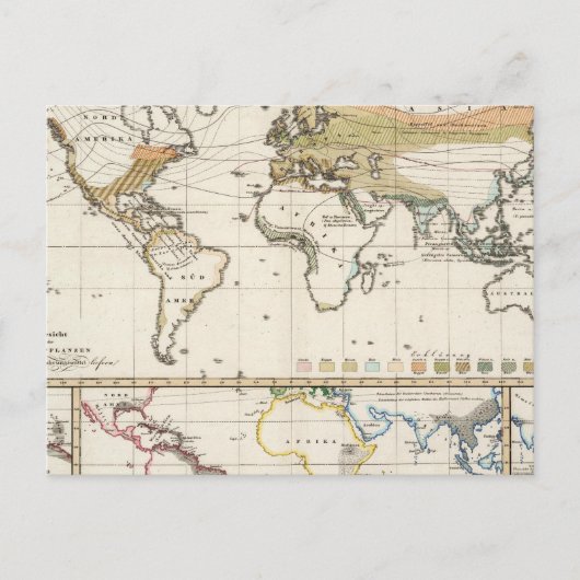 最も重要な栽培植物は地方に広がる ポストカード (正面)