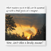 最も重要な磁石 マグネット (正面)