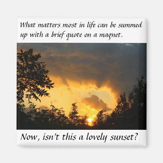 最も重要な磁石 マグネット (正面)