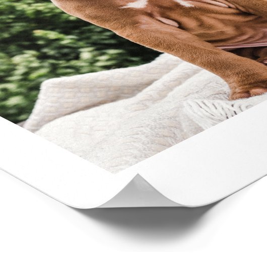 最も難しい別れ | ペットの追悼 11枚の写真のコラージュ ポスター (角)