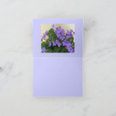 最も青く青いバイオレット カード (内部)