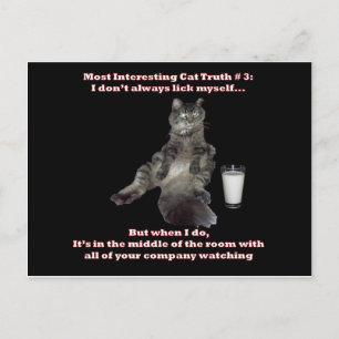 最も面白い猫#3.jpg ポストカード