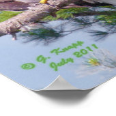 最も高い松の上 – ポスターまたはプリント ポスター (角)