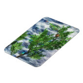 最も高い秋フレキシブル磁石 マグネット (左側)