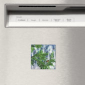 最も高い秋磁石 マグネット (インサイチュ (食洗機))