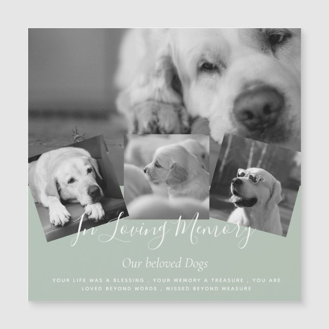 最低価格！35 PHOTOSコラージュカスタム文字セージ (正面)