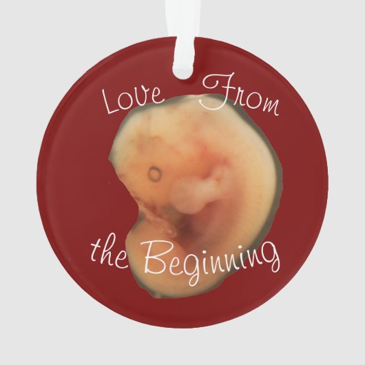 最初からの愛 オーナメント (裏面)