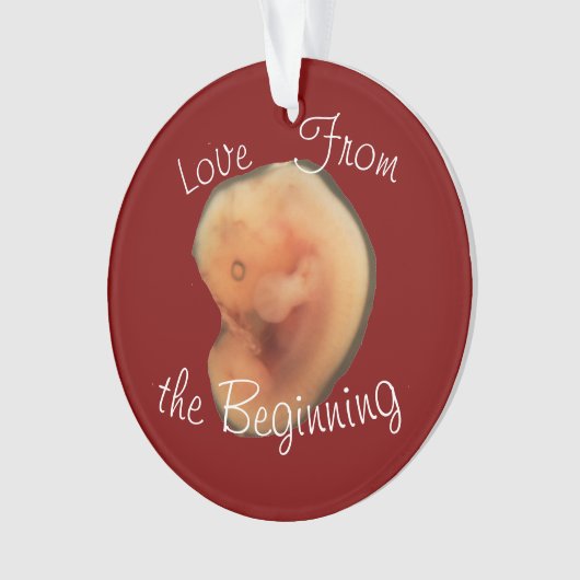 最初からの愛 オーナメント (正面)