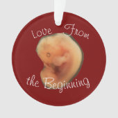最初からの愛 オーナメント (正面)