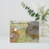 最初に点滅損失はok? ポストカード (スタンド正面)