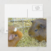 最初に点滅損失はok? ポストカード (正面/裏面)