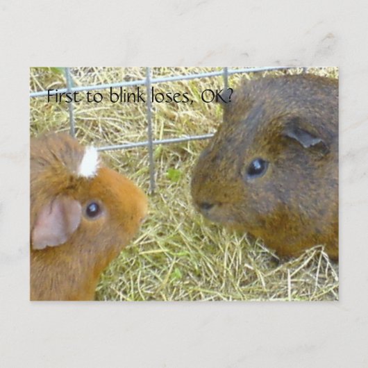 最初に点滅損失はok? ポストカード (正面)