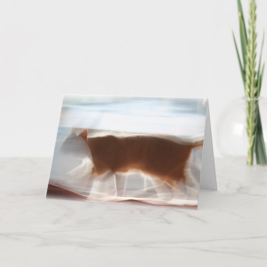 最初に私!!! 挨拶状 カード (正面)