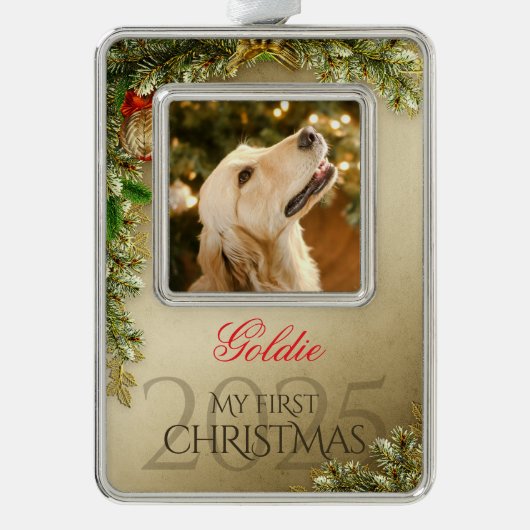 最初のクリスマスのペット写真記念品、ゴールドの装飾 シルバープレートフレームオーナメント (正面)