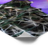 最初のシンボルや象徴春 ポスター (角)