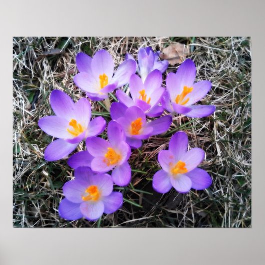 最初のシンボルや象徴春 ポスター (正面)