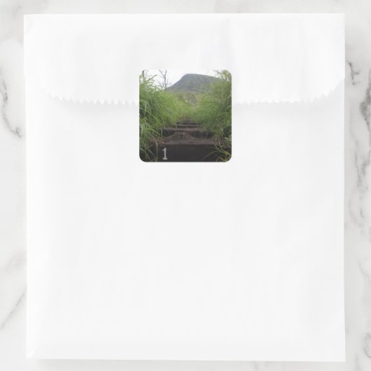 最初のステップ招待状はココククレーターをハイカー スクエアシール (バッグ)