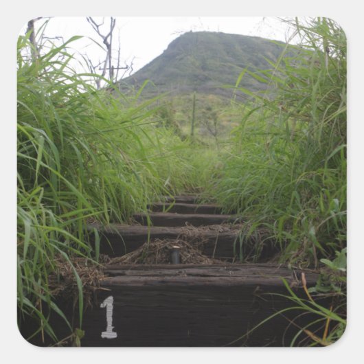 最初のステップ招待状はココククレーターをハイカー スクエアシール (正面)