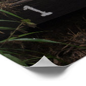 最初のステップ招待状はココククレーターをハイカー ポスター (角)