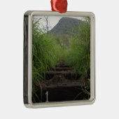 最初のステップ招待状はココククレーターをハイカー メタルオーナメント (右)