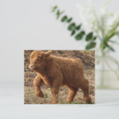 最初のステップ ポストカード (スタンド正面)