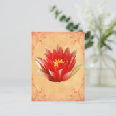 最初のチャクラ ポストカード (スタンド正面)