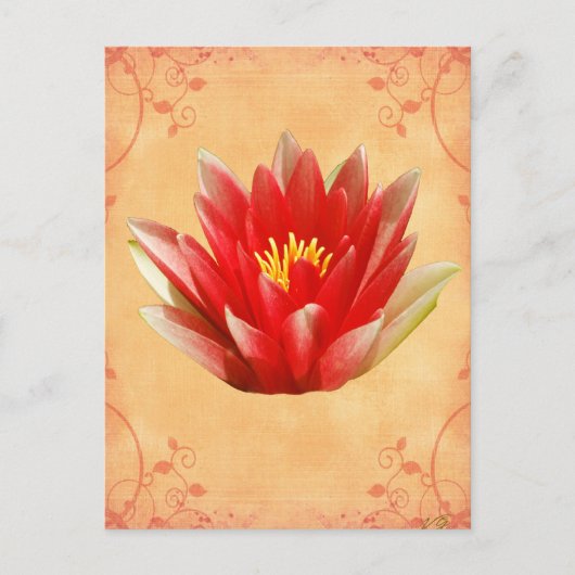 最初のチャクラ ポストカード (正面)