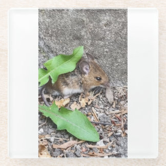 最初のマウスのコスター ガラスコースター