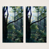 最初のライトブックマーク (正面&裏面)