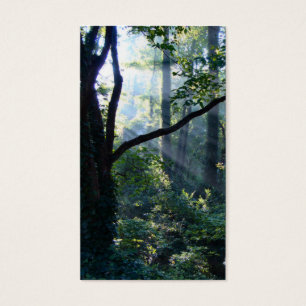 最初のライトブックマーク