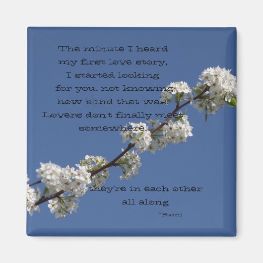 最初のラブストーリーを聞いた瞬間 マグネット (正面)