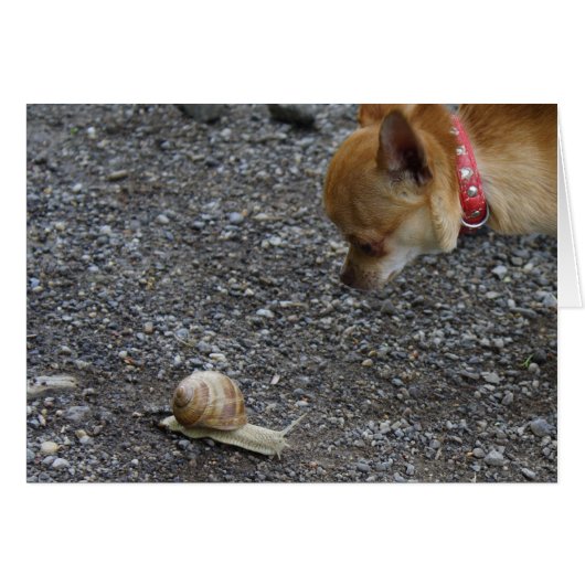 最初の日付 (正面横)