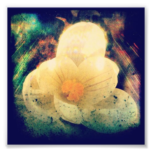 最初の春 フォトプリント            (正面)