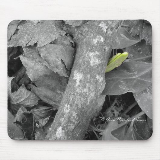 最初の春 マウスパッド (正面)