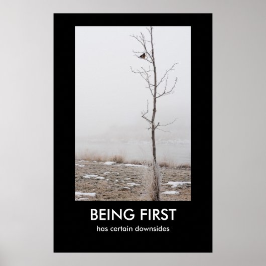 最初の民主的ポスターであること ポスター (正面)