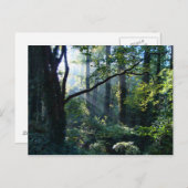 最初の淡いポストカード ポストカード (正面/裏面)