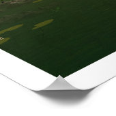 最初の緑 ポスター (角)