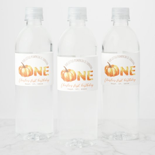最初の誕生日我々の小さなカボチャは1を回している ペットボトルラベル (ボトル)