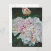 最初の開花2012 ポストカード (正面/裏面)