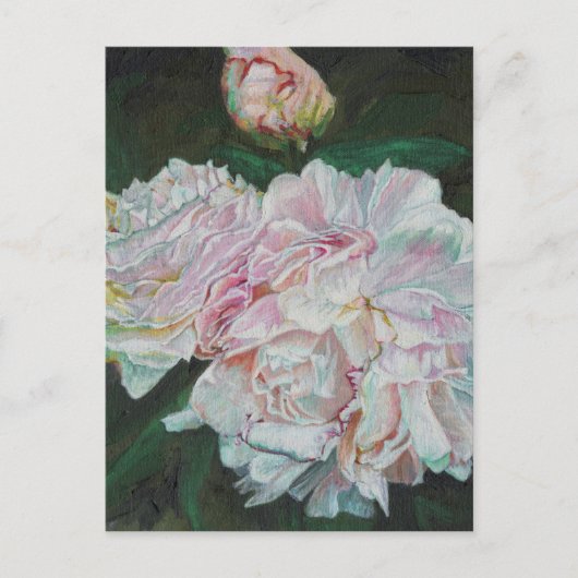 最初の開花2012 ポストカード (正面)