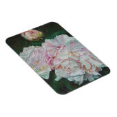 最初の開花2012 マグネット (右側)