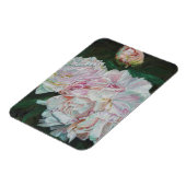 最初の開花2012 マグネット (左側)